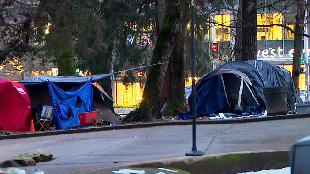 Winter weather helps move more Seattle homeless campers into shelters 210217_komo_seattle_homeless.jpg