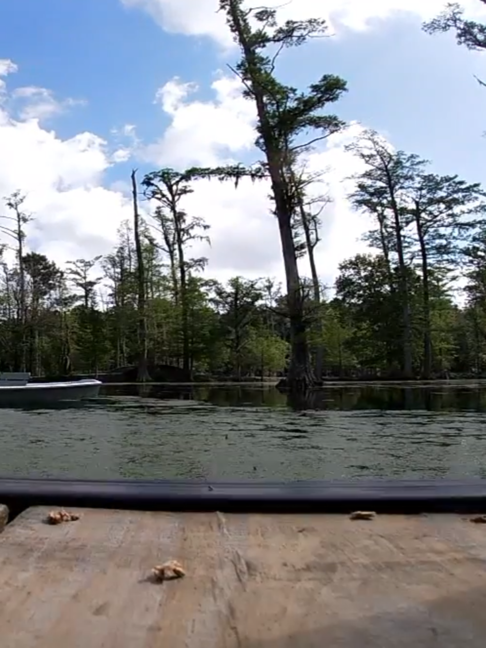 Cypress Gardens To Reopen After 3 5 Year Closure Wciv