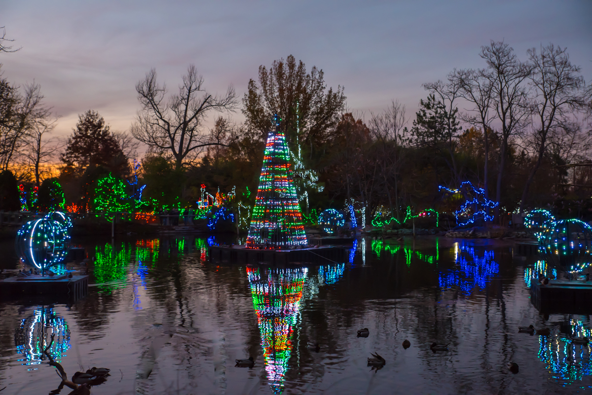 Illuminate Your Imagination With A Visit To The Festival Of Lights ...