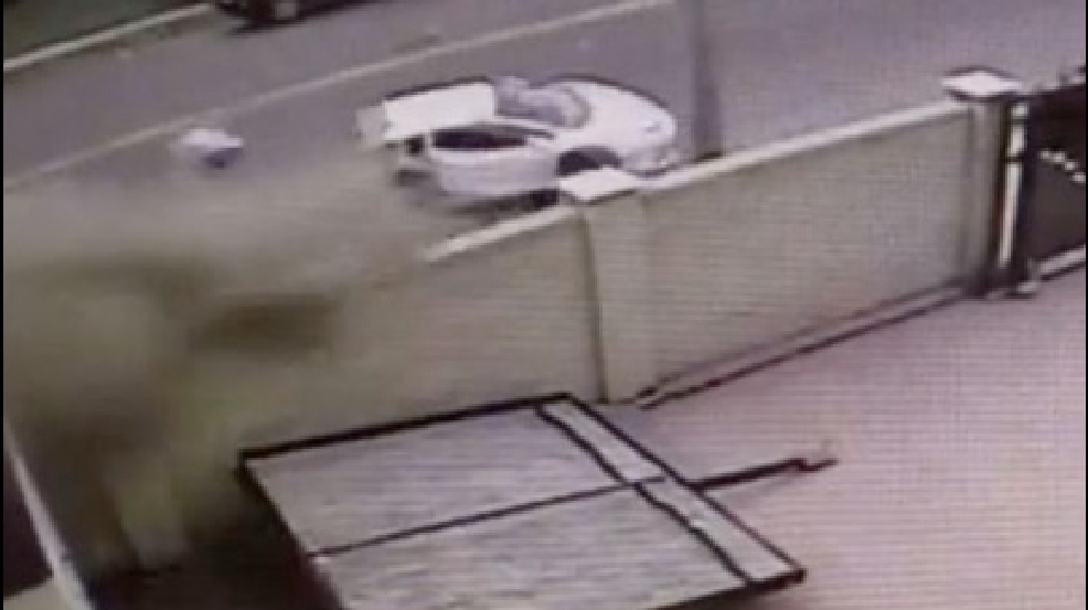 130925_lambo_split.jpg