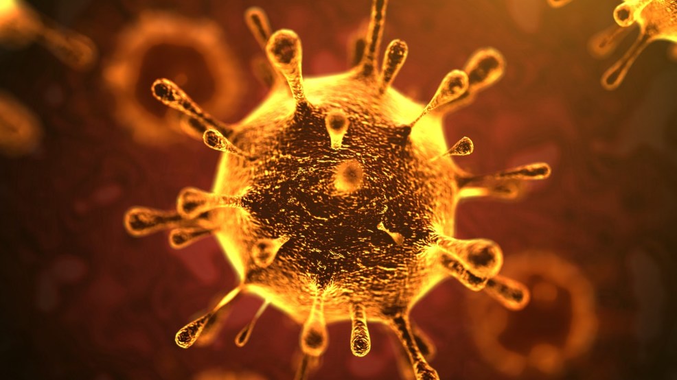 Coronavirus In North Carolina Health Officials Say Investigation