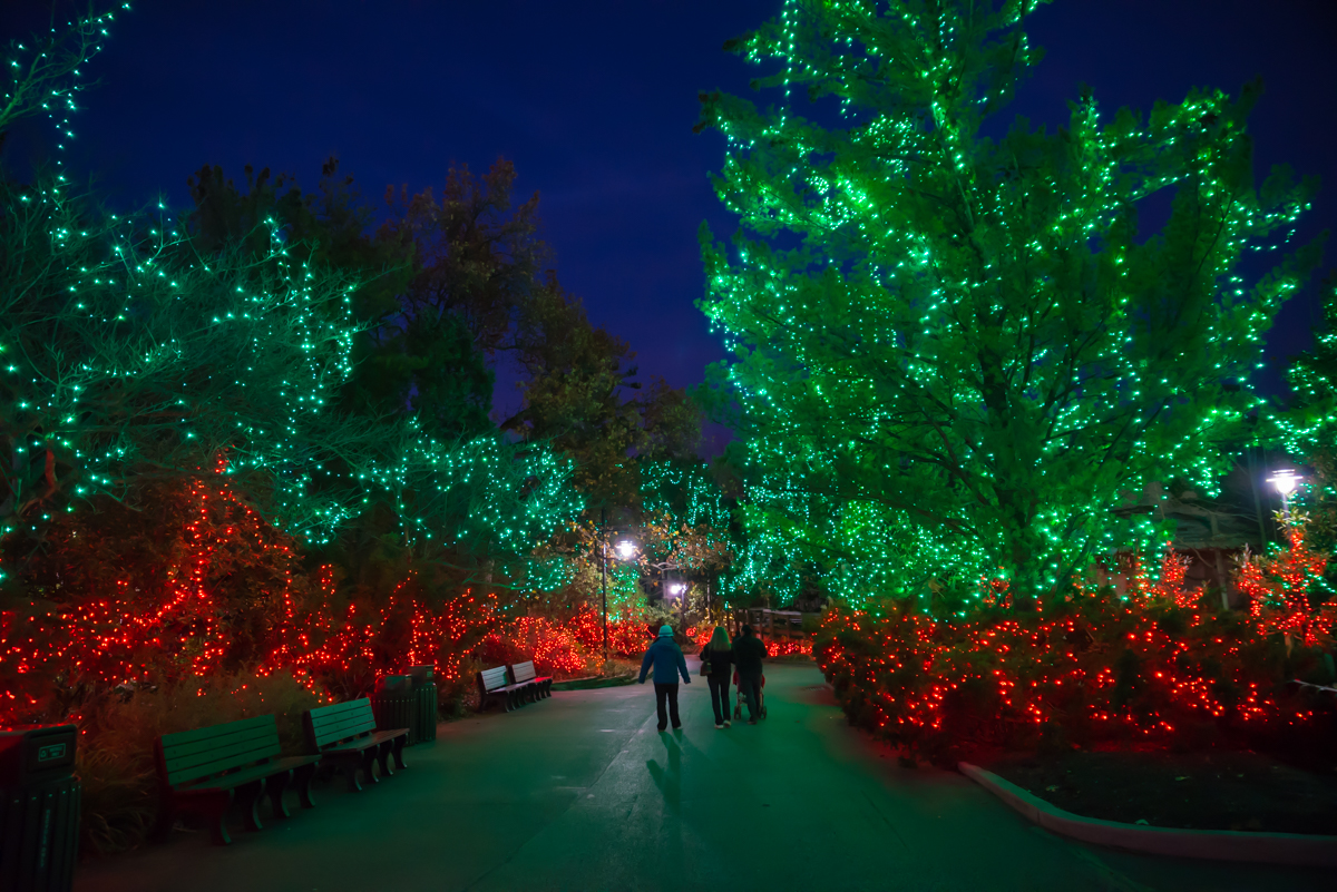 Illuminate Your Imagination With A Visit To The Festival Of Lights