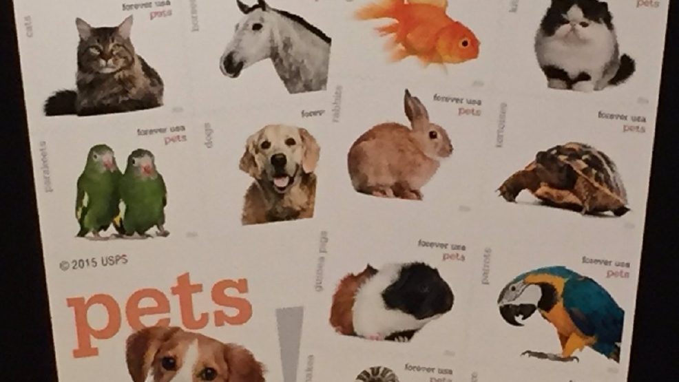 New Forever Pet Stamps make Las Vegas debut at SuperZoo show KSNV
