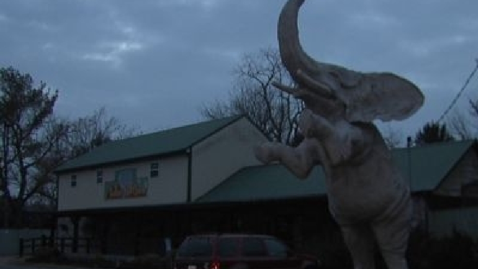 Natural Bridge Zoo Named "Worst Zoo For Elephants" In Animal Rights