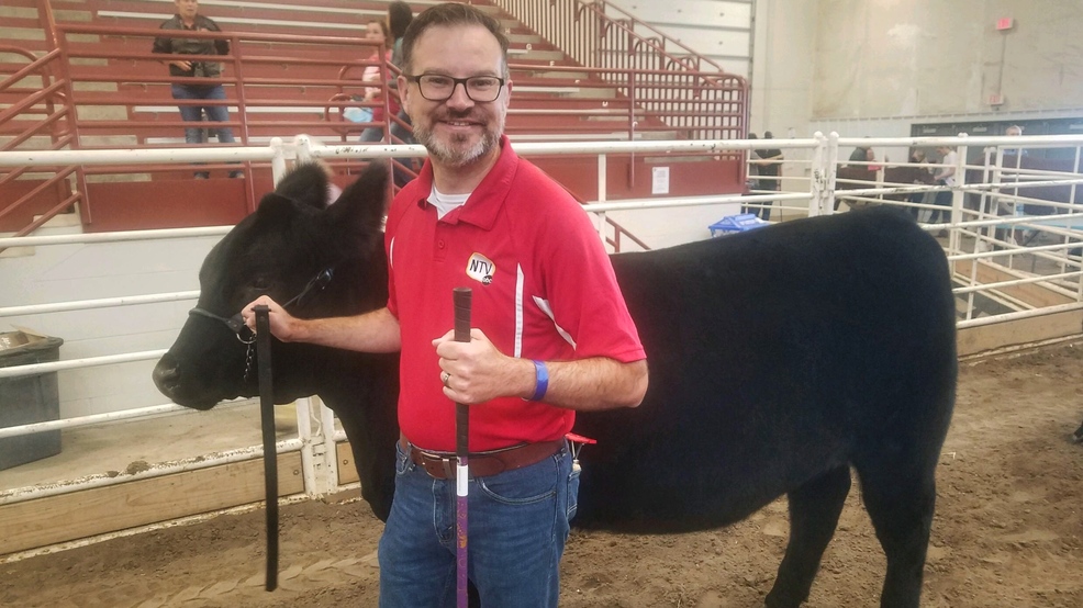 notable-nebraskans-team-up-with-4-h-ers-in-the-livestock-arena