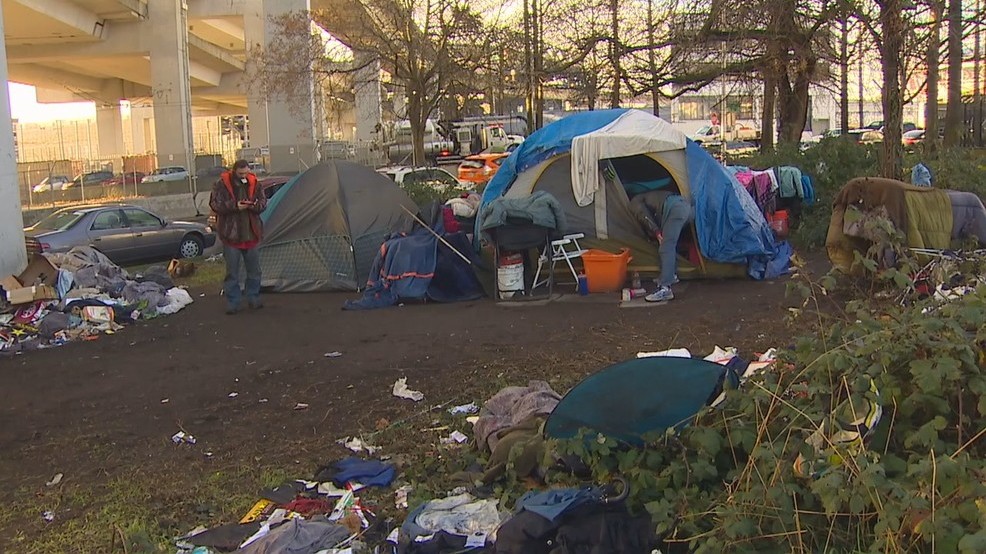 seattle homeless camp SoDo area freeway overpass KOMO.jpg seattle homeless camp SoDo area freeway overpass KOMO.jpg