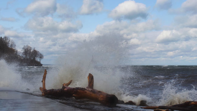 GALLERY: Windy Wednesday photos