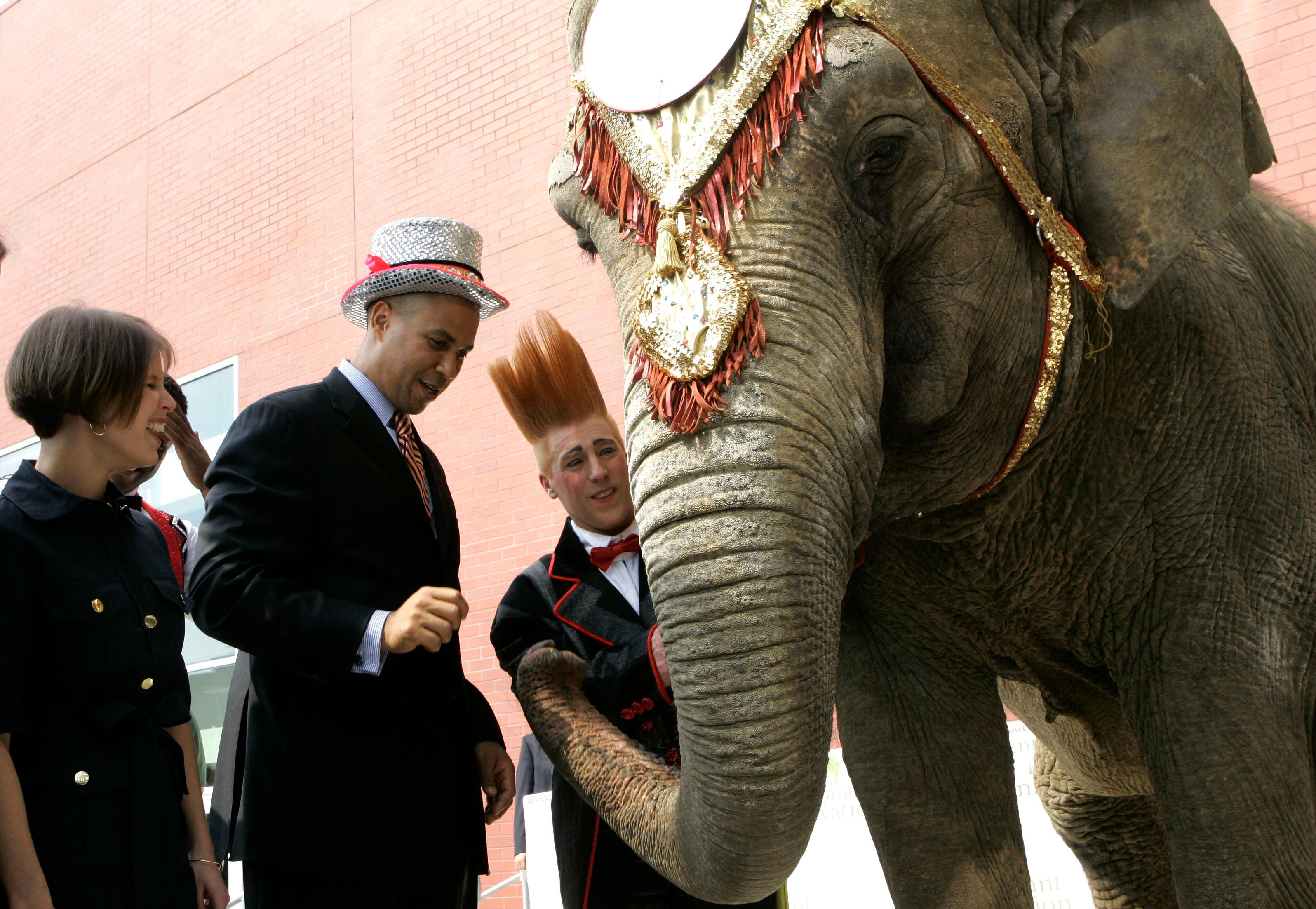 Ringling circus elephants to retire in May | WJLA
