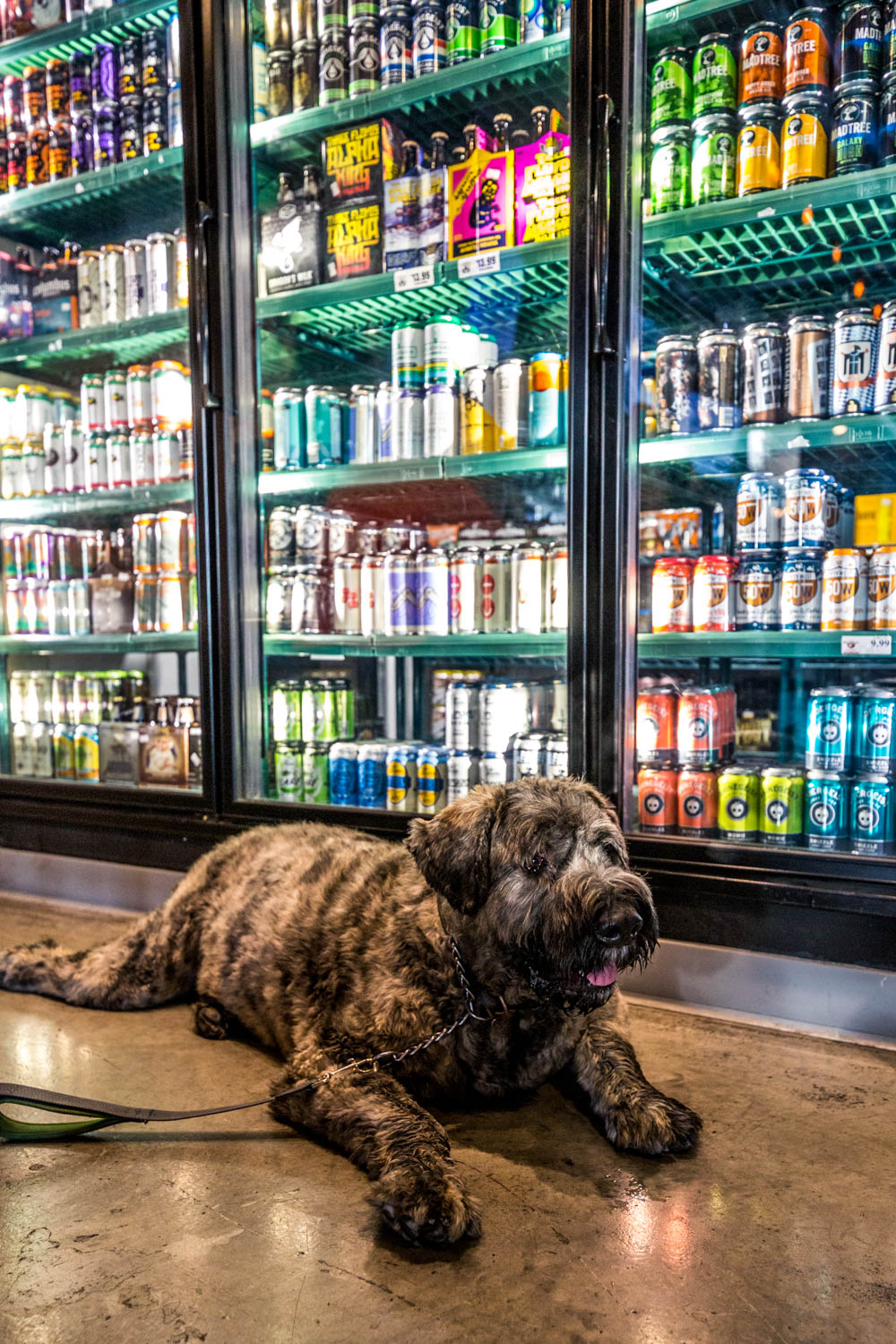 10 DogFriendly Bars That Have Us Sitting & Staying For Happy Hour