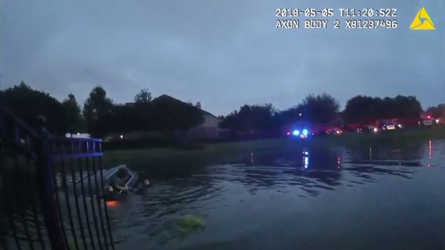 Video: Woman rescued as car sinks in gator-infested lake