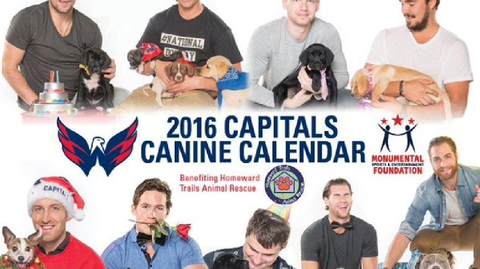 washington-capitals-canine-calendar-benefits-homeward-trails-animal-rescue-wjla