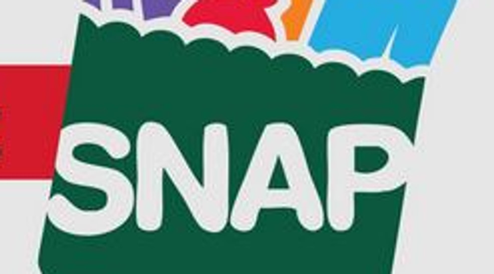apply for snap benefits online ga
