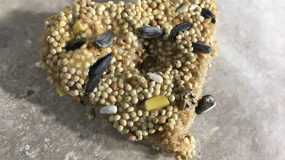 Craft Ladies homemade bird treats KHGI