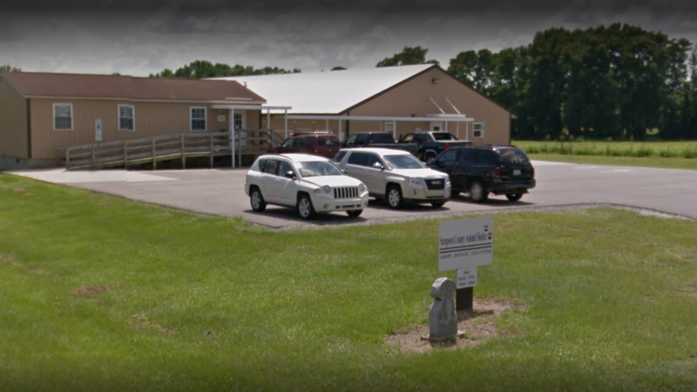 North Carolina shelter cited for euthanasia and mistreatment WSET