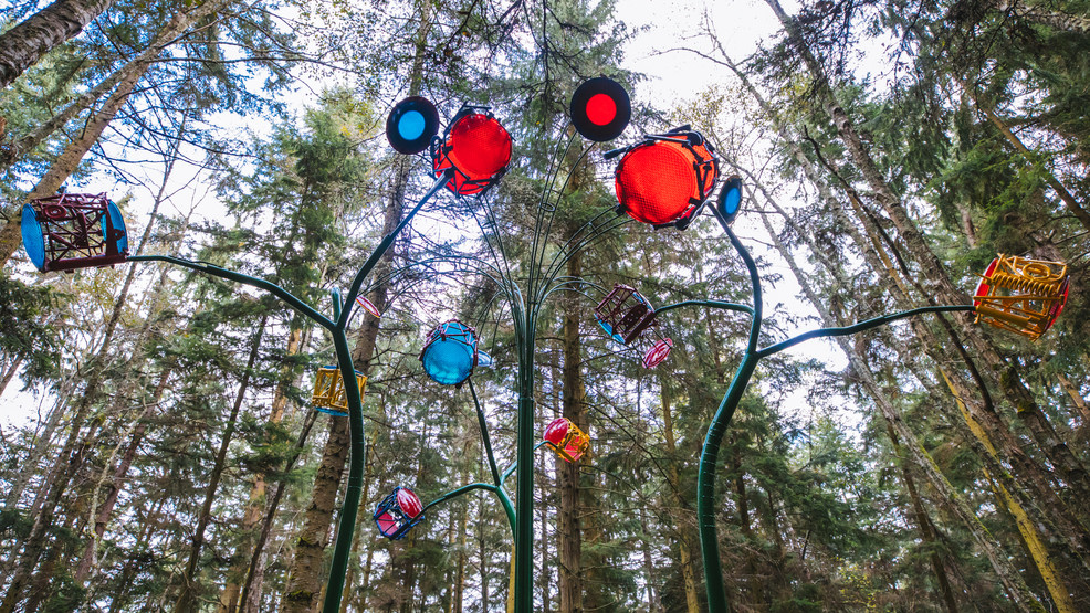 Photos New sculpture forest opens on Whidbey Island Seattle Refined