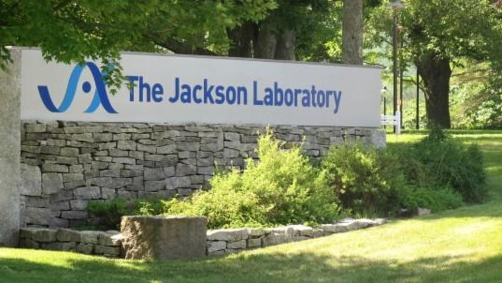 Jackson Lab to hire 300 new workers this year WGME