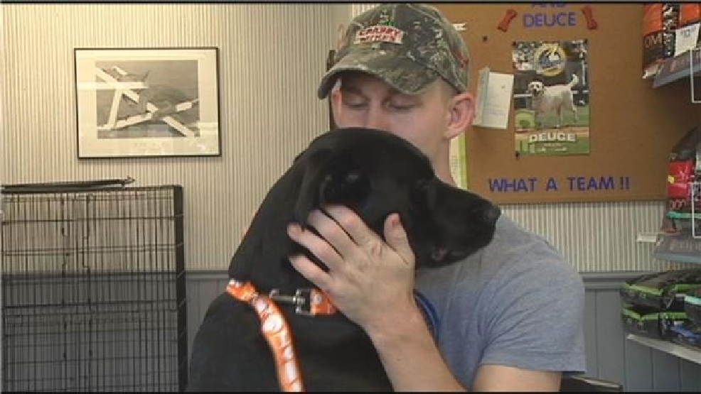 missing-dog-reunited-with-owner-after-500-mile-journey-wpde