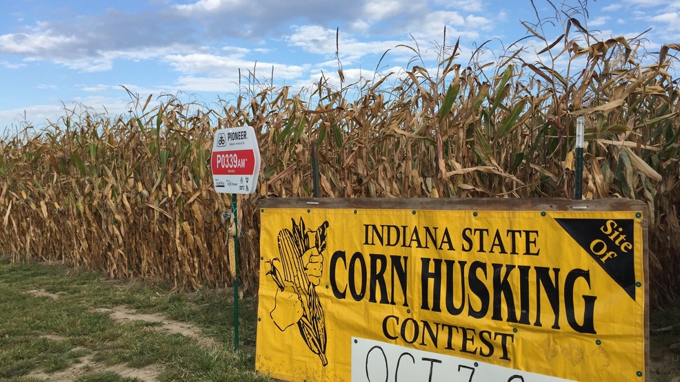 Indiana corn husking contest happening Saturday WSBT