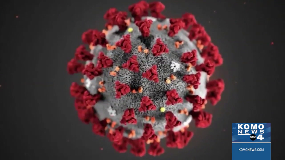 Coronavirus update: Washington state reports 458 new COVID-19 cases - KOMO News thumbnail