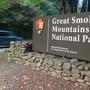 Bear euthanized after body of missing man found in GSMNP