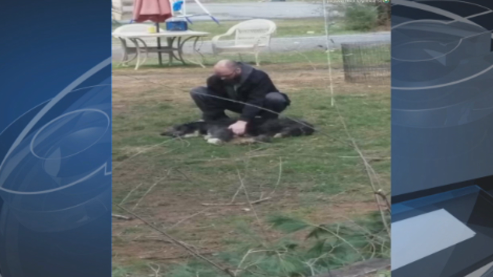 After video of dog being strangled by tether goes viral, woman ...